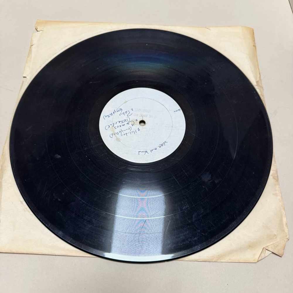 Demo / Promo Record Vinyl 33 LP Wire and Wood Band - White Label - RARE